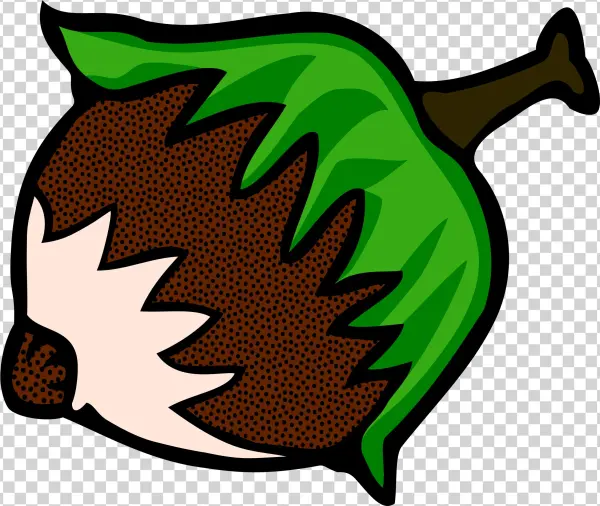 This Free Icons Png Design Of Hazelnut