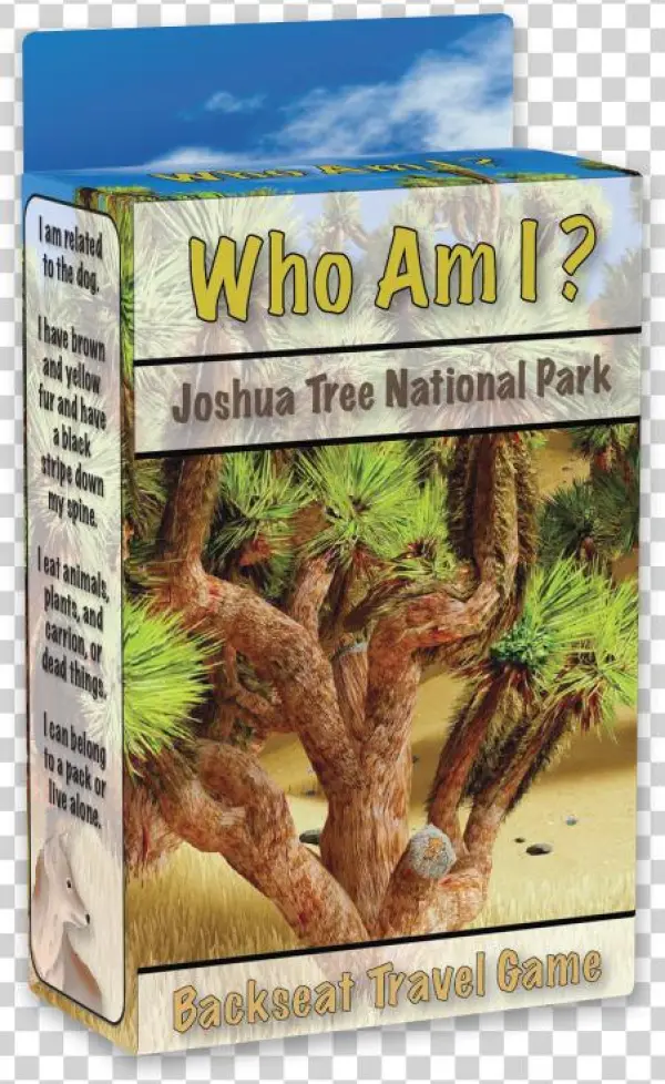 Who Am I