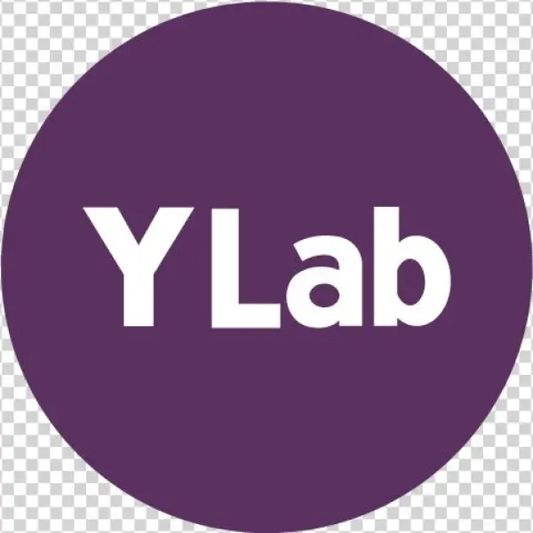 Y Lab Y Lab - Y Lab