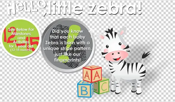 Zebra - Cartoon