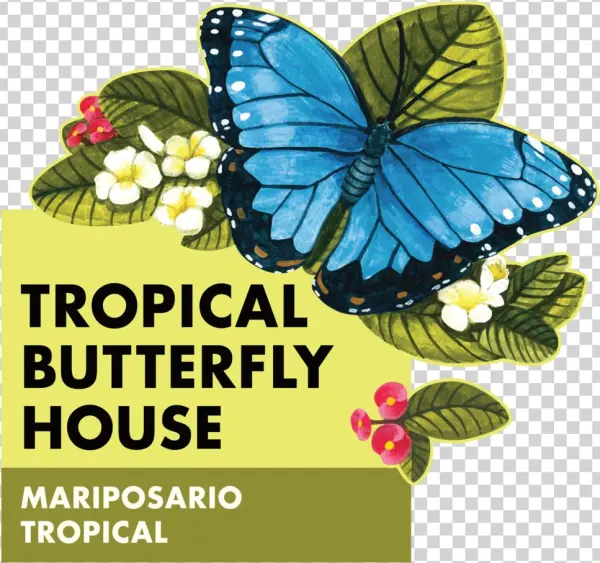 Butterfly Main Sign