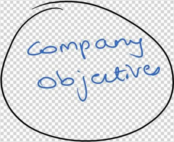 Company Objectives - Company