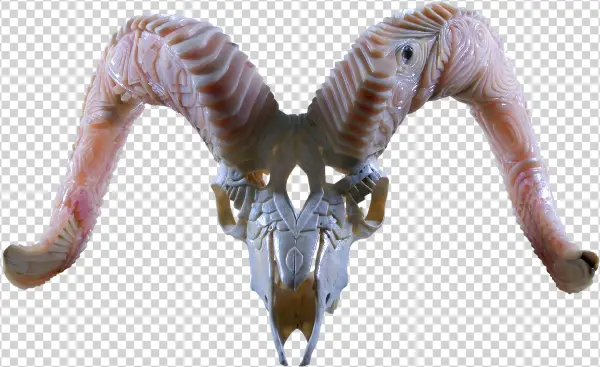 Dall Sheep Duality - Lesothosaurus