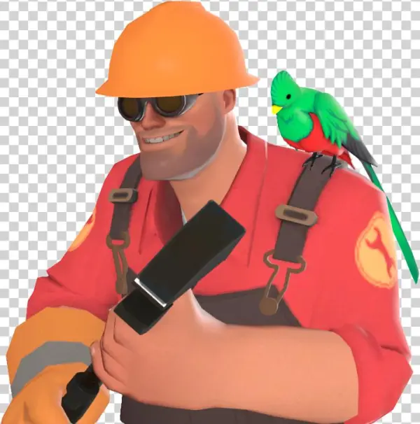 Engineer Quizzical Quetzal - Engineer