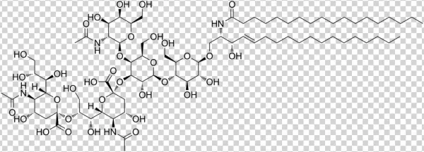 Gd2 Ganglioside - Disialoganglioside Gd2