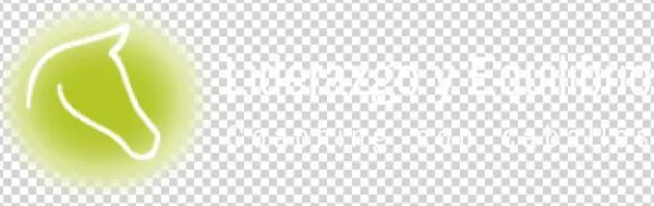 Liderazgo Y Equilibrio - Leadership