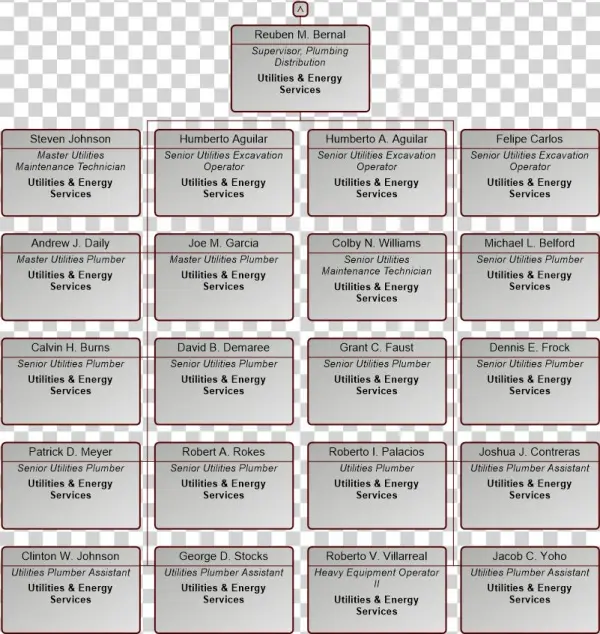 Org Chart - Parallel