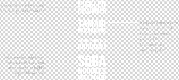 Productpage - Document