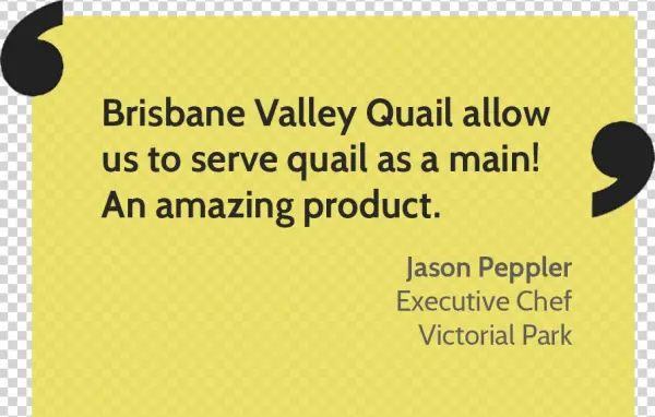 Quail Png