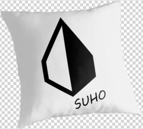 Quotexo Suho New Power Logoquot Throw Pillows By Aprilio - University Of Arizona Wildcats Throw Pillow, Sunglasses