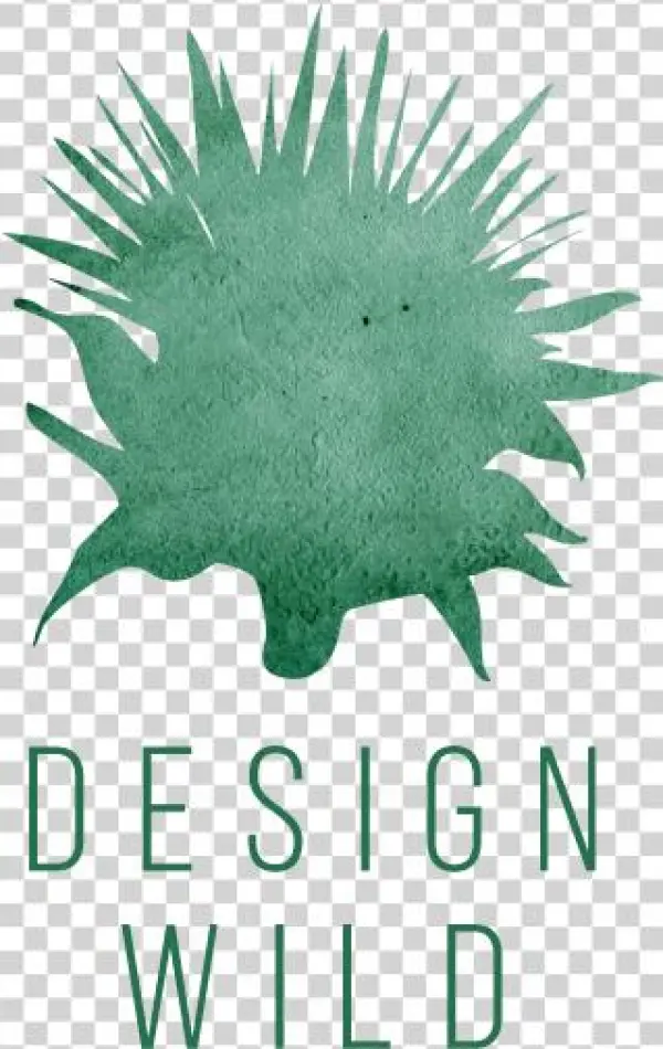 Wild Grass Png