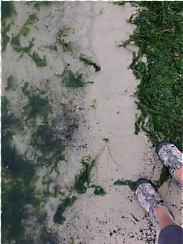 66 Results Found - Concrete