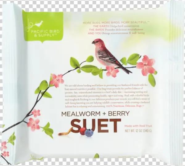 Berry Suet-web
