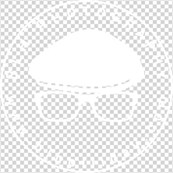 Blh Photography - Ps4 Logo White Transparent