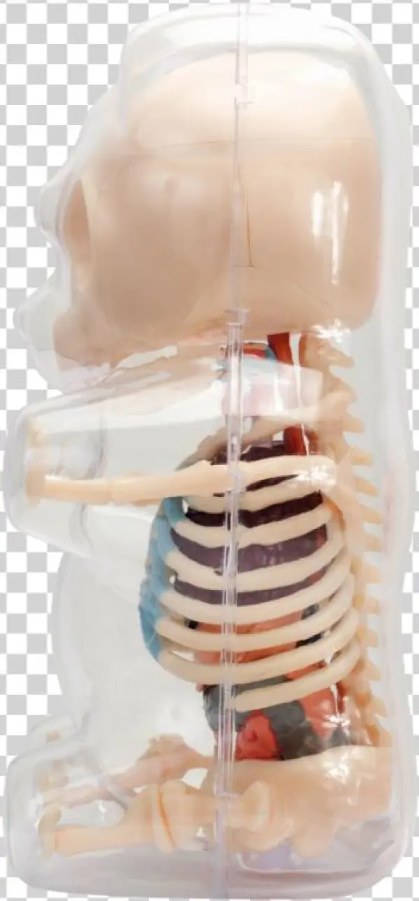 Radiology
