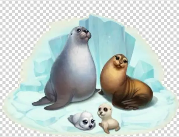 Seal Family - Seal Township