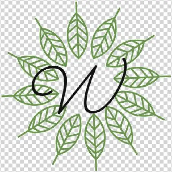 Woven Wellbeing - Evergreen Massage & Bodyworks