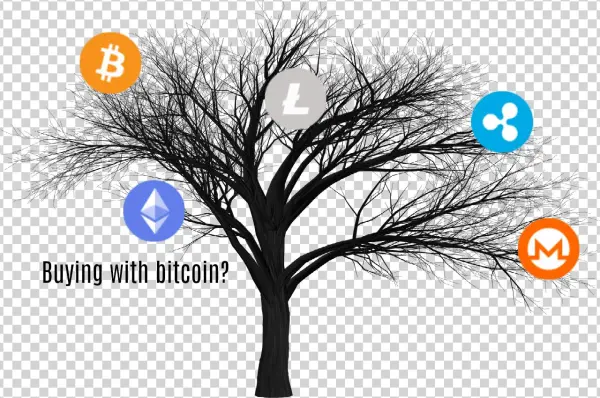 Amazon Go[es], Buying With Bitcoin And Square Comes - Trunk