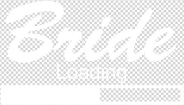 Bride-loading - Future Bride Journal [book]