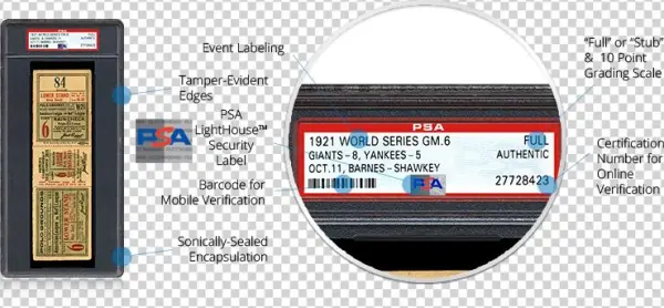 Elite Protection For Your Ticket Collection - Anatomy