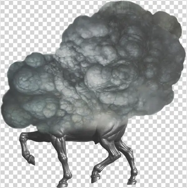 Exploding Horse Transparent - Horse