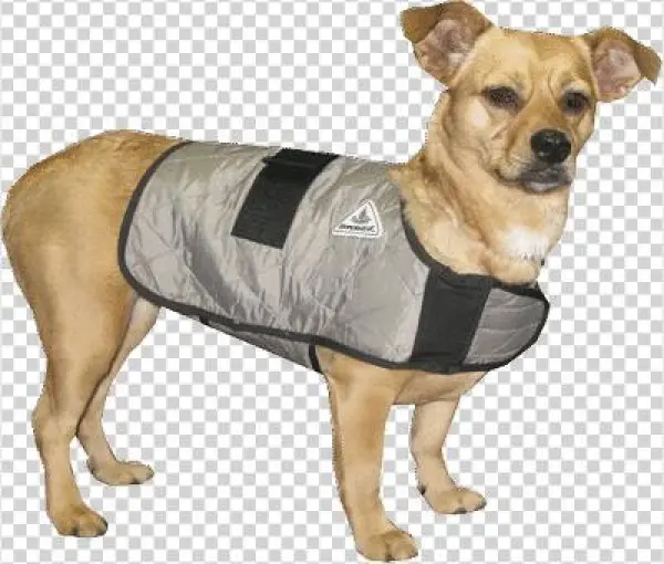 Hyperkewl™ Evaporative Cooling Dog Coat - Techniche 8529xlsilver Xl Hyperkewl Evaporative Cooling