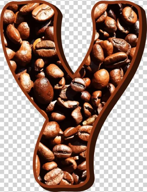 Jamaican Blue Mountain Coffee Coffee Bean Frijoles - Freshly Roasted Coffee Beans: Blank 150 Page Lined