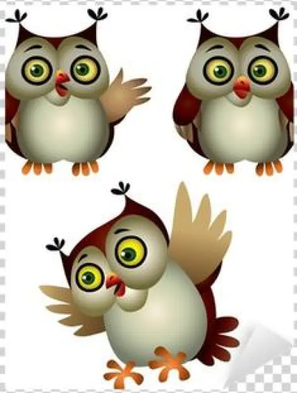 Owl Cartoon