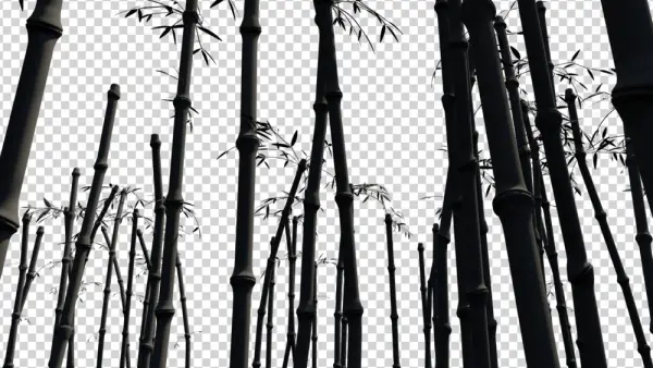 Testscene 4 - 0001 - Model