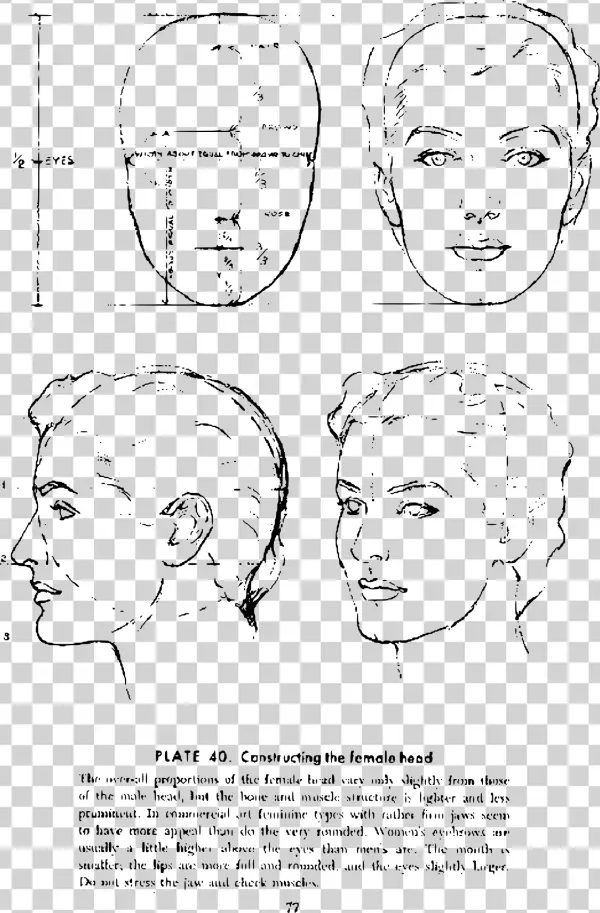 This Free Icons Png Design Of Andrew Loomis Drawing