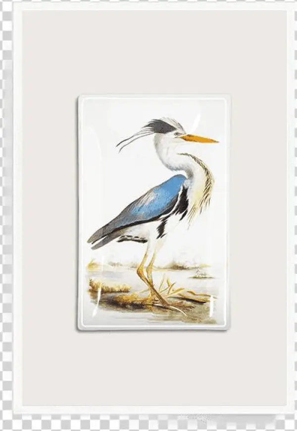 William Macgillivray Creatures Of Air Land And Sea