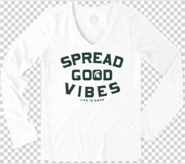 Michigan State University Logo Png