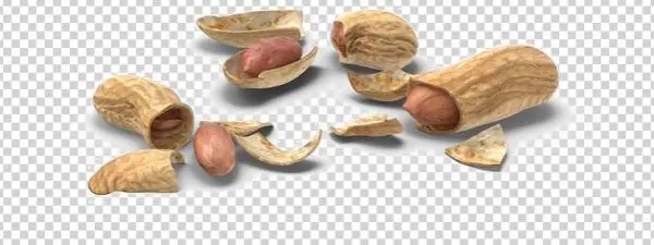 Peanut Download Png Image - Portable Network Graphics