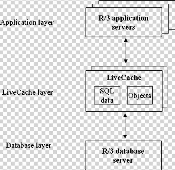 R/3 Livecache Architecture - Database
