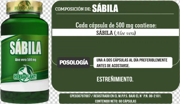 Sabila - Herbaplant