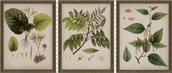 View Larger Image - Giclee Painting: Mendez's Vintage East Indian Plants