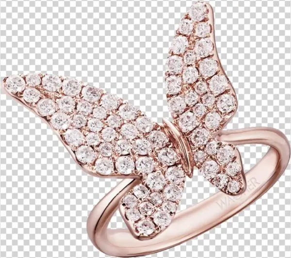 Butterfly - Brooch