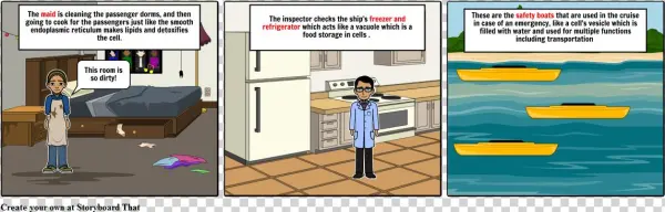 Cell Organelle - Cartoon