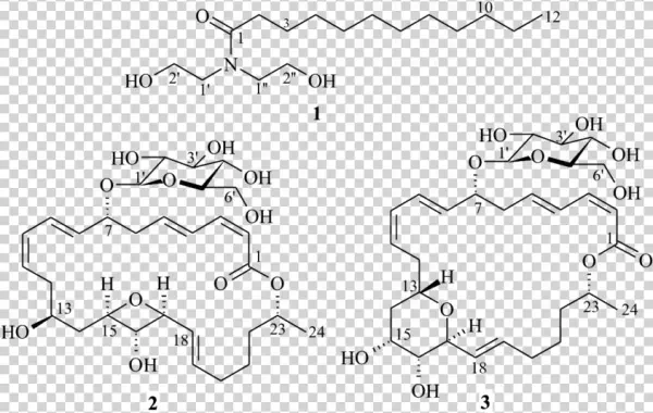 Download - Structure