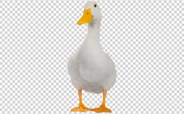 Duckhunt V3 Changelog - Different Animals