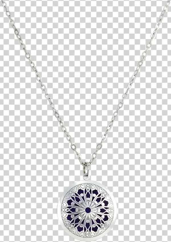 Free Essential Oil Diffuser Necklace
