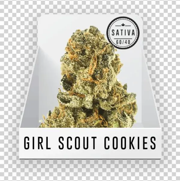 Girl Scout Cookies Png