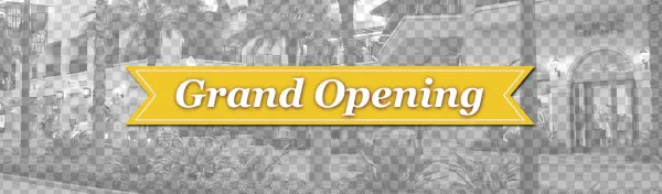 Grand Opening Parking Services St Petersburg, Fl