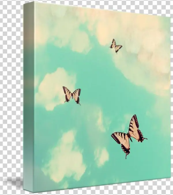 Mkc Photography Butterfly Sky Canvas - Papilio Machaon