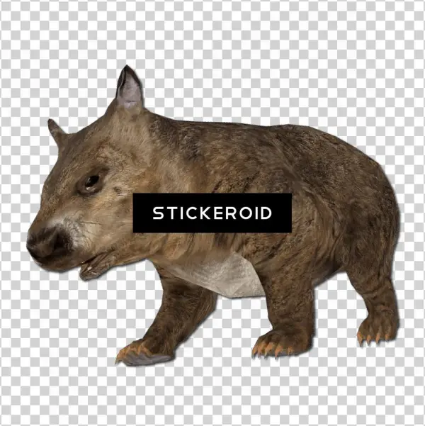 Small Nose - Rhinoceros