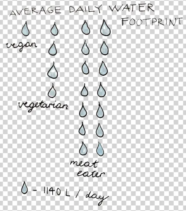 Water - Circle