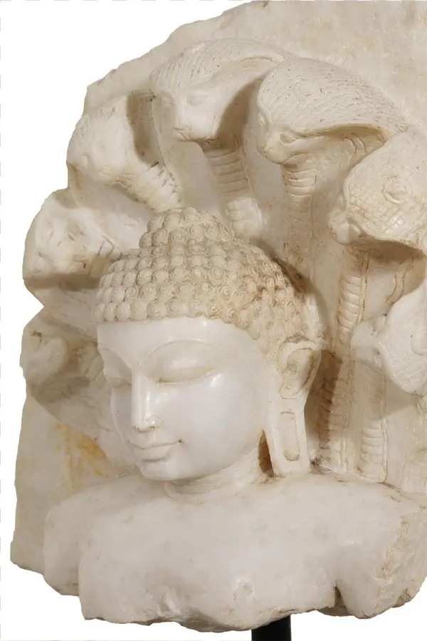 Bust