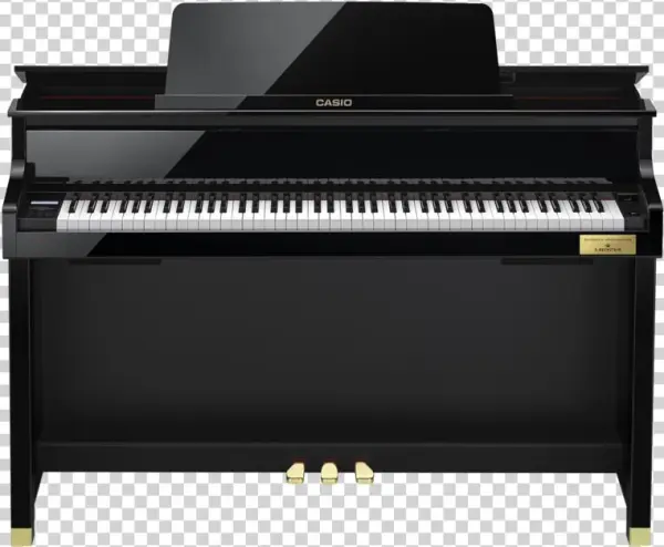 Gp-500bp P Opti