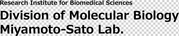 Lab Logo - Iscte Iul Business School