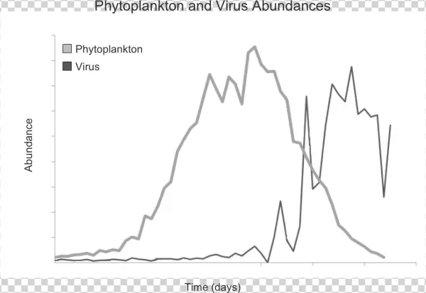 Phytoplankton And Virus Abundance - Diagram